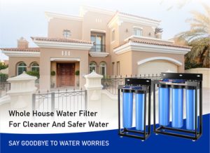 whole house water filter systems